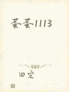蛋蛋1113