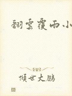 翻云覆雨小说封面