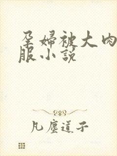 孕妇被大肉楱征服小说封面