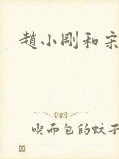 赵小刚和宋雨晴封面