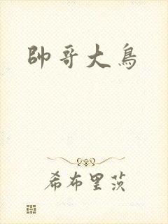帅哥大鸟