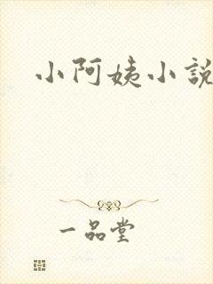 小阿姨小说封面