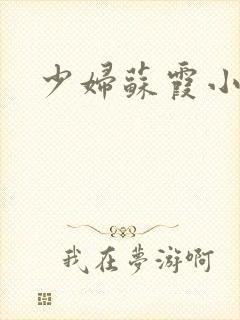 少妇苏霞小说封面