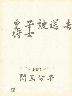 皇子被送去犒劳将士封面