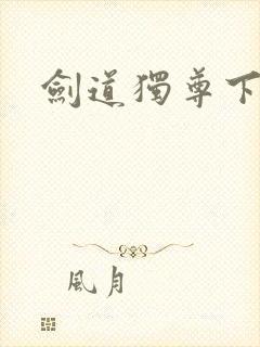 剑道独尊下载
