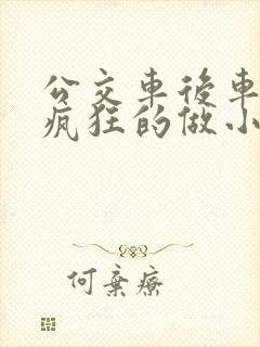 公交车后车座的疯狂的做小