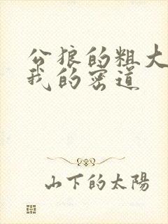 公狼的粗大挺进我的密道