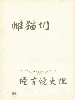 雌猫们