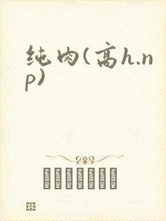 纯肉(高h.np)