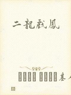 二龙戏凤
