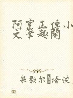 阿宾正传小说全文笔趣阁封面