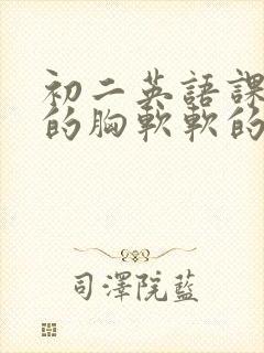 初二英语课代表的胸软软的