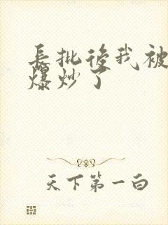 长批后我被宿敌爆炒了