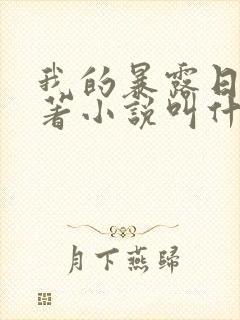 我的暴露日记原著小说叫什么