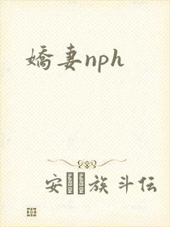 娇妻nph