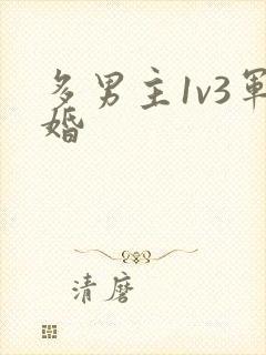 多男主1v3军婚封面