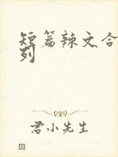 短篇辣文合集系列