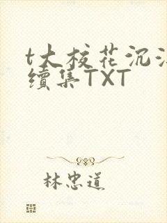 t大校花沉浮录续集TXT