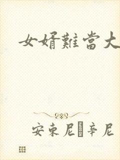 女婿难当大结局