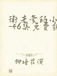 卫老爹的小船1-46集免费观看