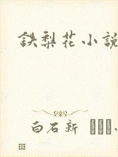 铁梨花小说