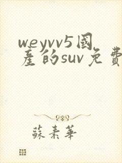 weyvv5国产的suv免费
