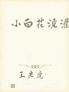 小白花浇灌日常封面