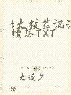 t大校花沉浮录续集TXT