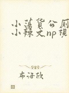 小荡货公厕h文小辣文np视频