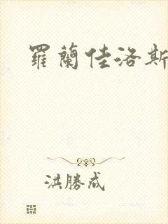 罗兰佳洛斯封面