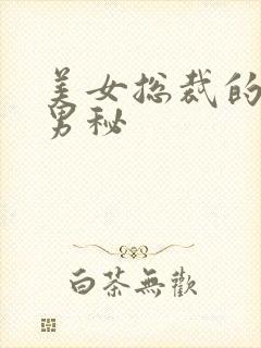 美女总裁的贴身男秘封面