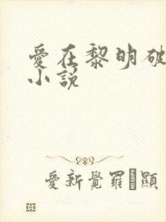 爱在黎明破晓前小说