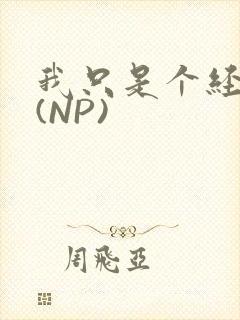 我只是个经纪人(NP)