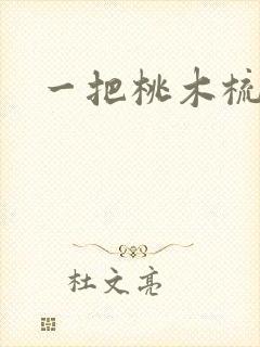 一把桃木梳封面