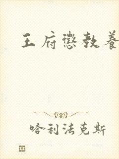 王府惩教养日常