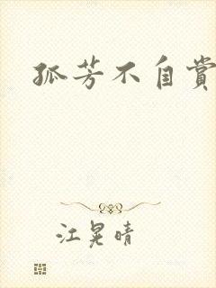 孤芳不自赏小说