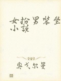 女扮男装坐江山小说封面