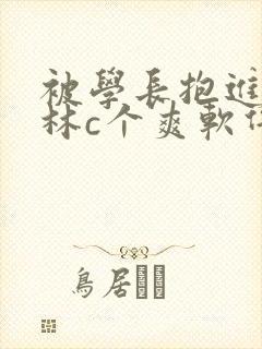 被学长抱进小树林c个爽软件