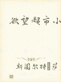 欲望超市小说封面