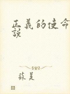 正义的使命 小说