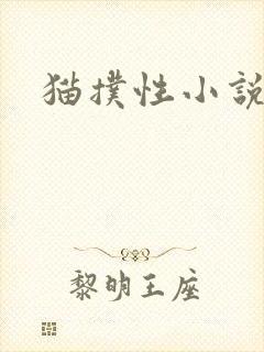 猫扑性小说