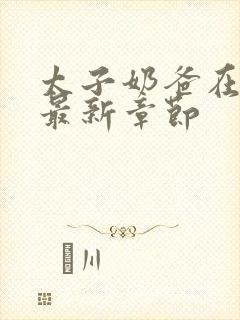 太子奶爸在花都最新章节封面