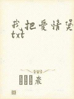 我把爱情煲成汤txt