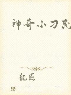 神奇小刁民封面