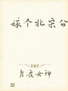 嫁个北宋公务员