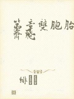 第章双胞胎姐妹齐飞