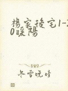 杨家后宅1-20暖阳