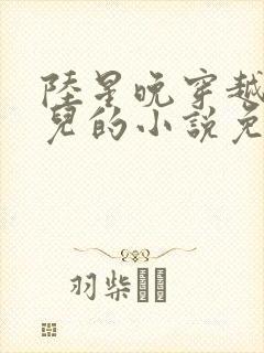 陆星晚穿越成婴儿的小说免费阅读全文