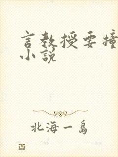 言教授要撞坏了小说