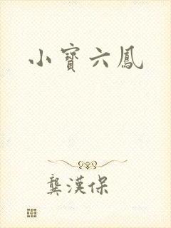 小宝六凤